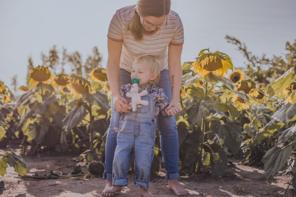 family traditions at a sunflower patch